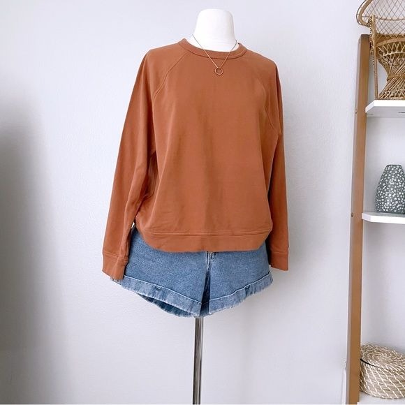 Rust Pullover Long Sleeve Sweater (L)