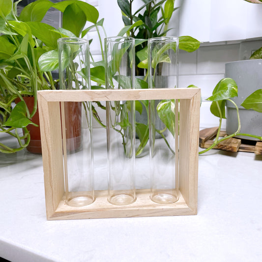 Propagating Station With Three Glass Tubes